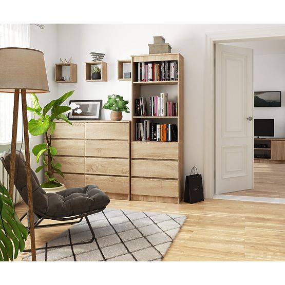 ÉTAGÈRE R60 3TI 2P CLP PK CHÊNE SONOMA