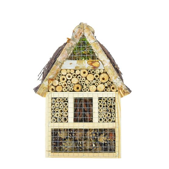 Maison d'insectes volants