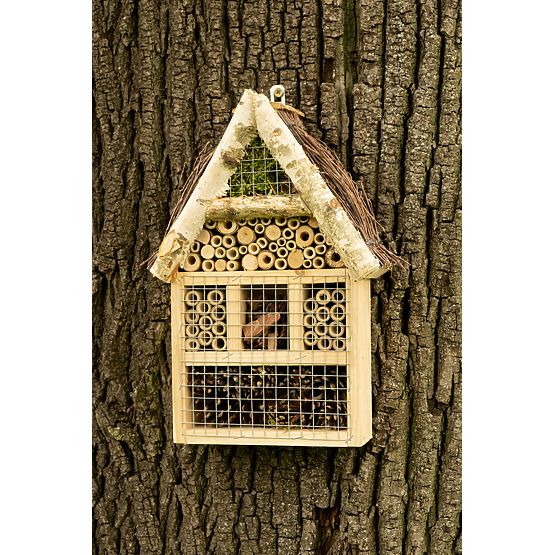 Maison d'insectes volants