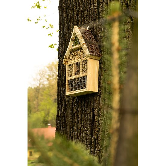 Maison d'insectes volants