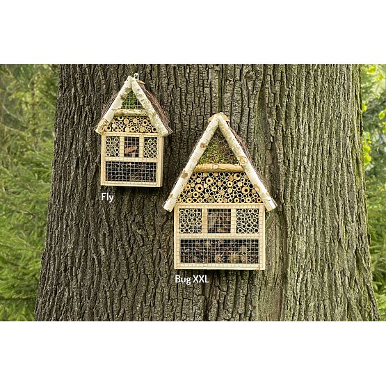 Maison d'insectes volants