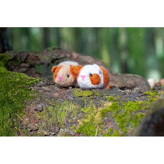 Kit pour feutrage - Cochons d'Inde