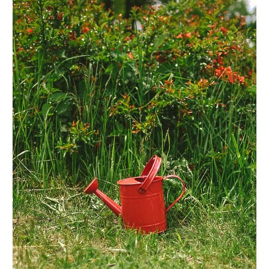Arrosoir rouge