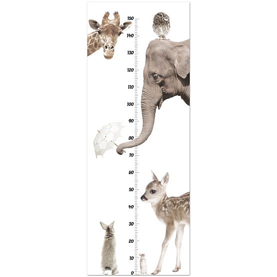 L’échelle de la la croissance de la DEKORNIK - animaux