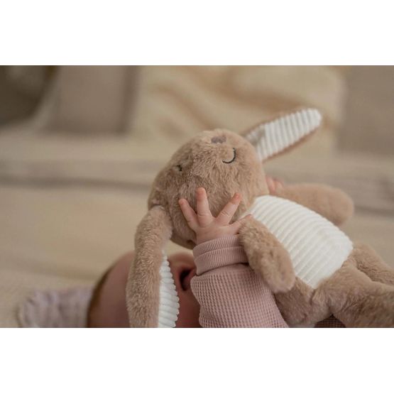 Lapin marron avec battement de coeur FLOW