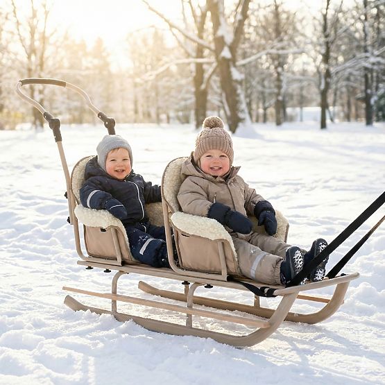 Luge pour jumeaux Duo - différentes couleurs de sièges