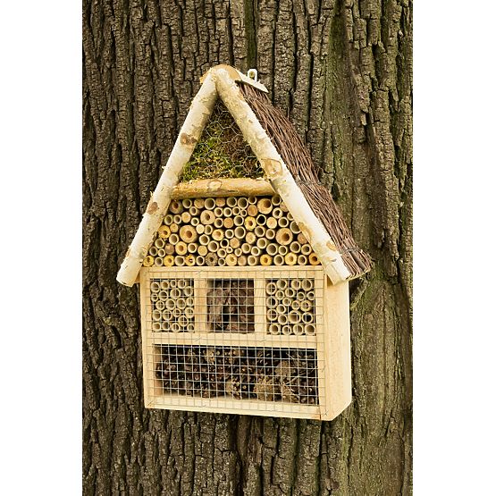 Maison à insectes - hôtel XXL