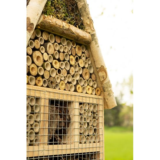 Maison à insectes - hôtel XXL