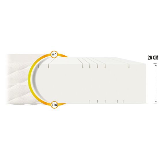 Matelas mousse Goya Max Plus 120 x 200 cm