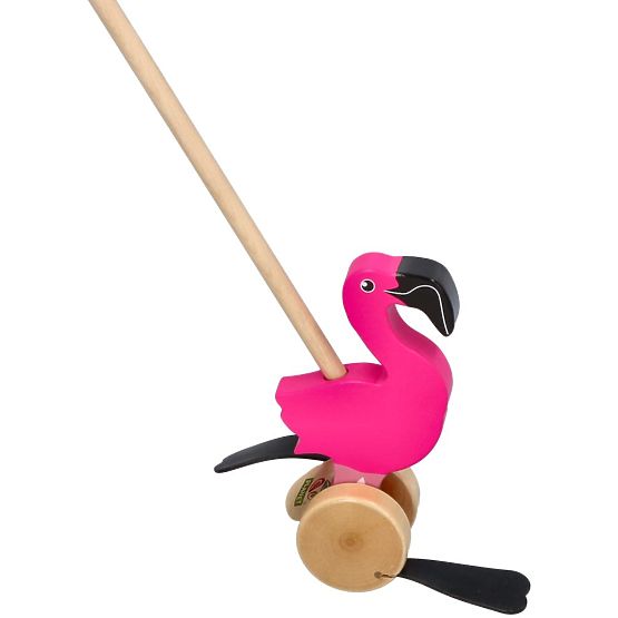 Nature Planet Flamant rose à pousser