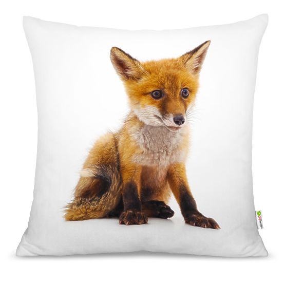 Oreiller FOX 01