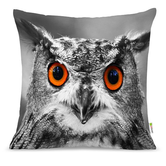 Oreiller HIBOU 01