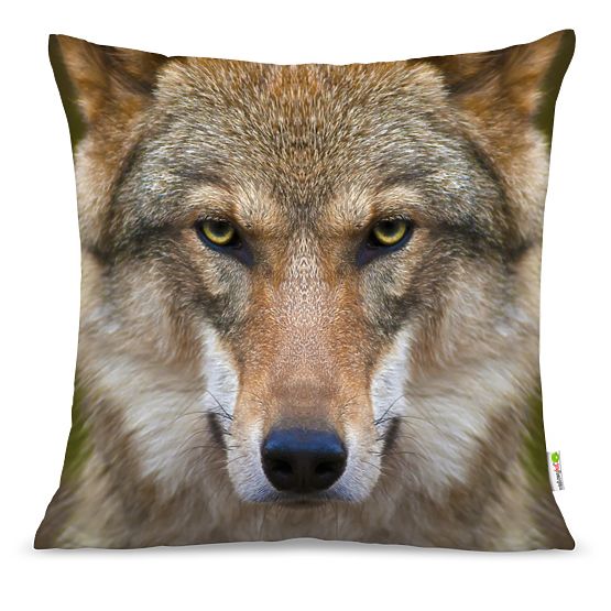 Oreiller WOLF 01