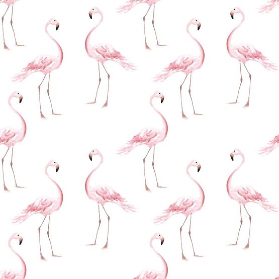 Papier peint DEKORNIK Flamingos