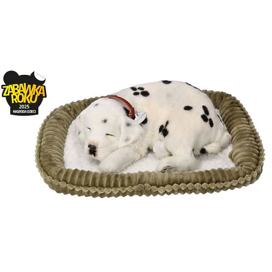 Perfect Petzzz Adoptez un dalmatien qui respire