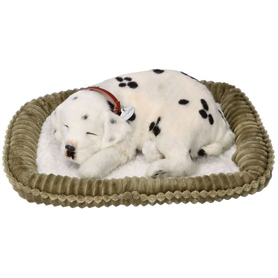 Perfect Petzzz Adoptez un dalmatien qui respire