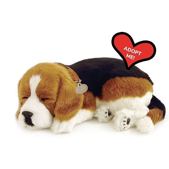 Perfect Petzzz Chiot Beagle Respirant