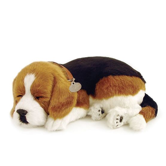 Perfect Petzzz Chiot Beagle Respirant
