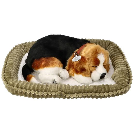 Perfect Petzzz Chiot Beagle Respirant