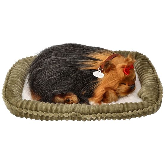Perfect Petzzz Chiot Ronflant York