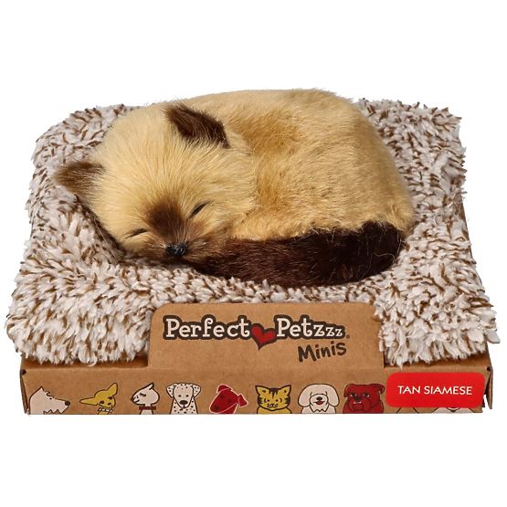 Perfect Petzzz Petit chaton siamois