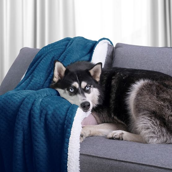 Plaid SHLEEPY couleur indigo jacquard style classique 130x180