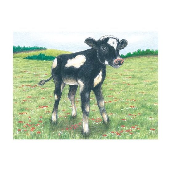 Puzzle en cubes avec mouton
