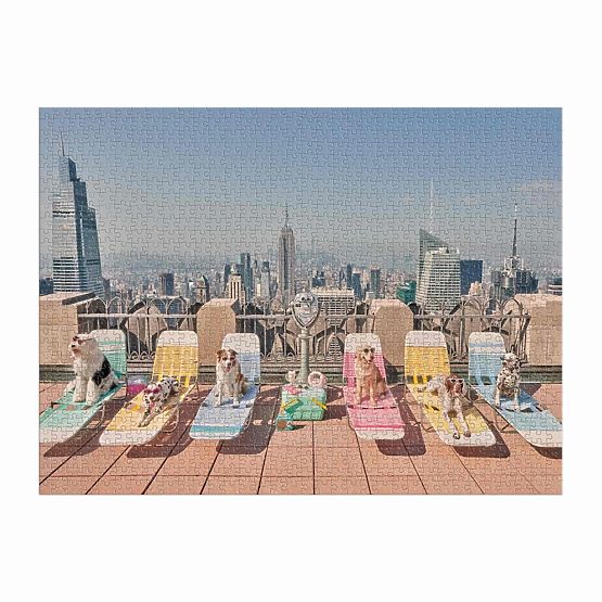 Puzzle Galison Chiens à New York Gray Malin 1000 pièces