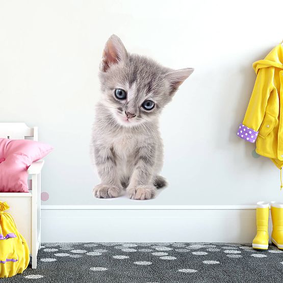 Sticker mural - Chaton