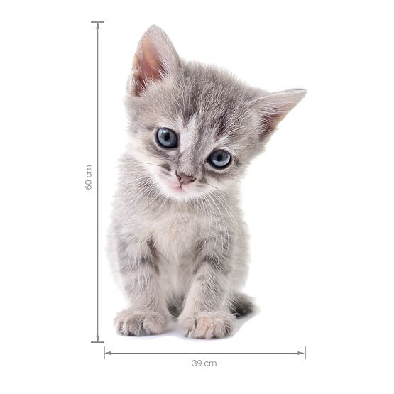 Sticker mural - Chaton