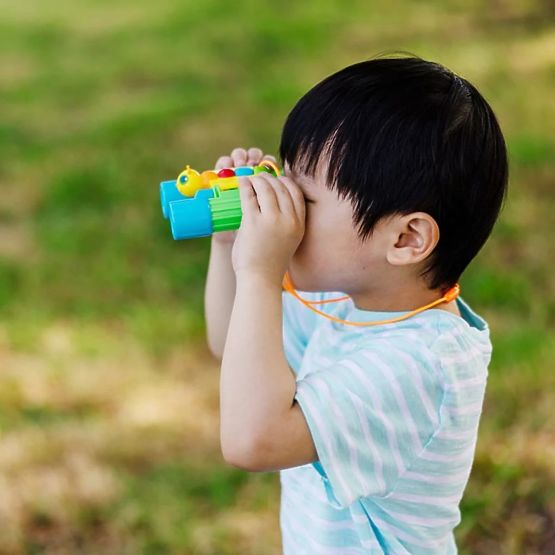 Jumelles bleu-vert - papillon