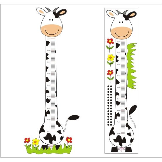 Toise de croissance n° 05 - vache