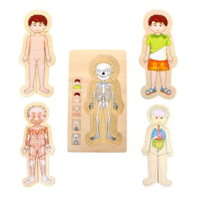 Small Foot Jouets en bois Puzzle Anatomie Tim, Small foot by Legler