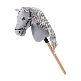 Apollo, cheval de loisir premium