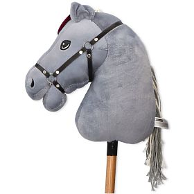 Apollo, cheval de loisir premium