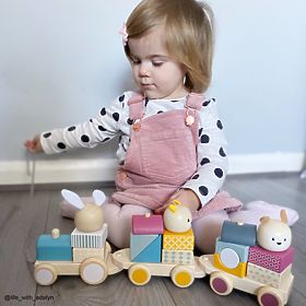 Bigjigs Baby Train en bois avec animaux