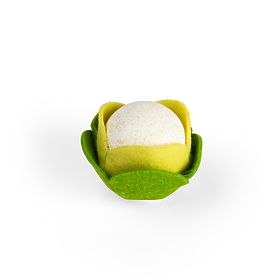 Bigjigs Toys Chou-fleur, Bigjigs Toys