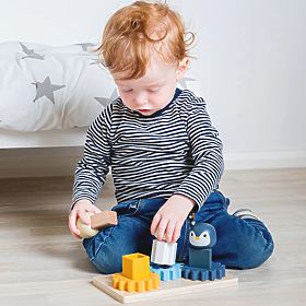 Bigjigs Toys Planche Motrice Arctique