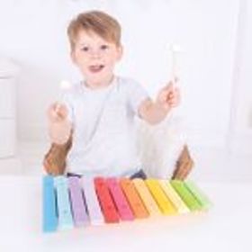 Bigjigs Toys Xylophone en bois