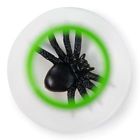 Bigjigs Toys Judas grossissant pour observer les insectes