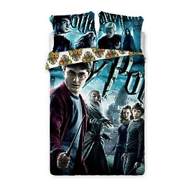Literie enfant 140x200 cm + 70x90 Harry Potter, Faro