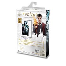 Literie enfant 140x200 cm + 70x90 Harry Potter, Faro