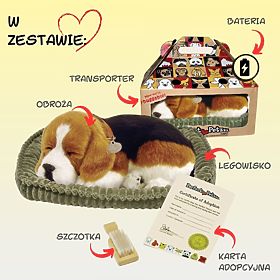 Perfect Petzzz Chiot Beagle Respirant