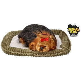 Perfect Petzzz Chiot Ronflant York