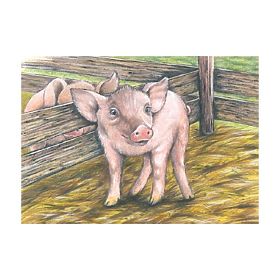 Puzzle en cubes avec mouton