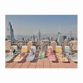 Puzzle Galison Chiens à New York Gray Malin 1000 pièces