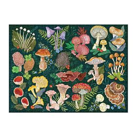 Puzzle Galison Monde des Champignons 1000 pièces