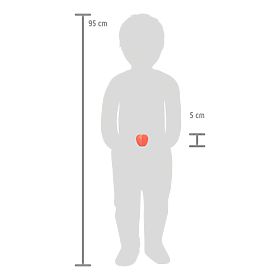 small foot Ensemble de fruits à découper Fresh