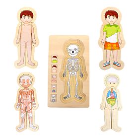 Small Foot Jouets en bois Puzzle Anatomie Tim